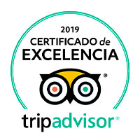 Trip advisor 2019